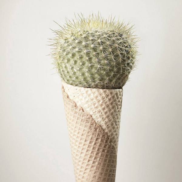 Photograph Gonzalo Puertas Icecream Belonging To Gonzalo Pueras 2012 Calendar on One Eyeland